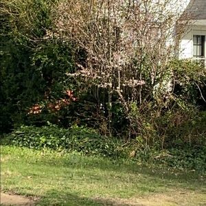 Meet your Posher, Dunia